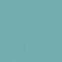 RAL6027